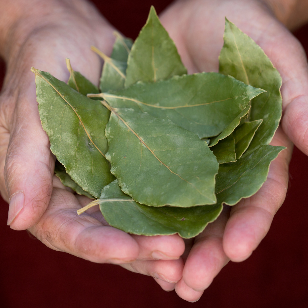 5 ways to use Bay Leaf in your cooking. India At Home