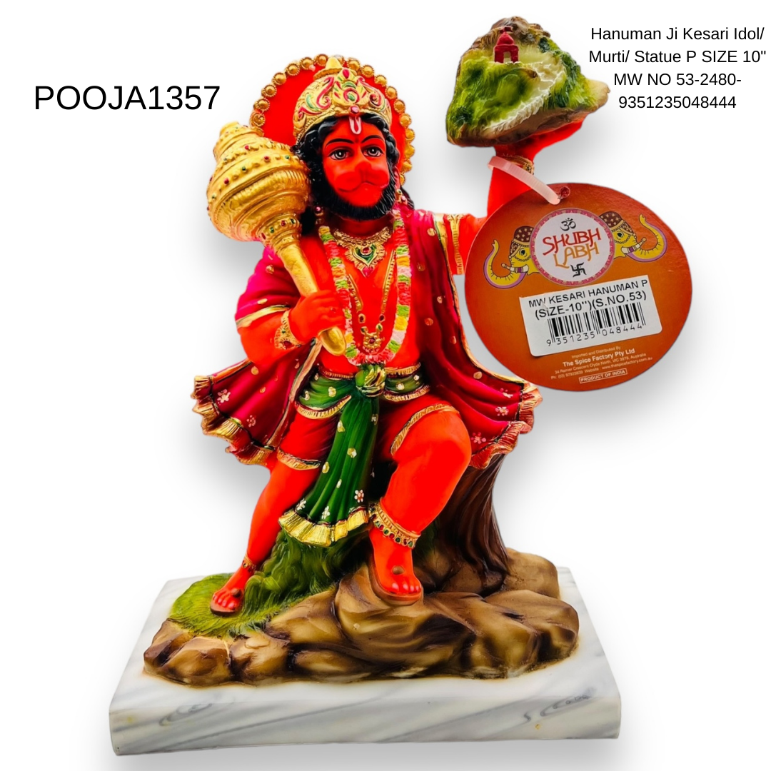 Hanuman Ji Kesari Idol/ Murti/ Statue P SIZE 10" MW NO 53-2480- 9351235048444