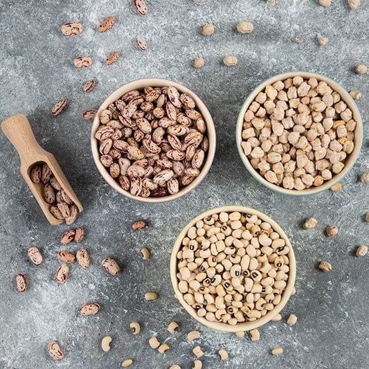 Legumes the essential source of protein.