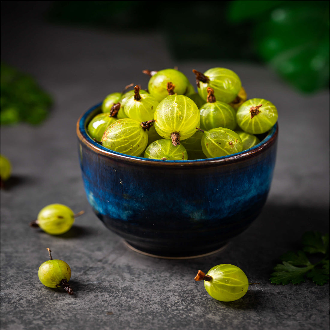 Amla Powder: A Superfood with Miraculous Benefits