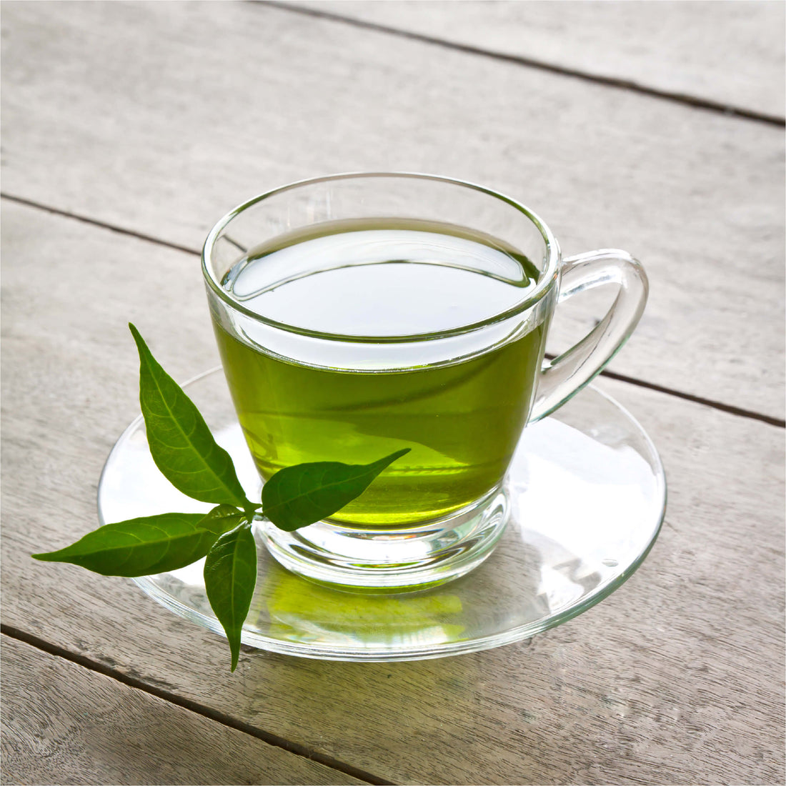 5 Reasons to Start Drinking Green Tea Every Day