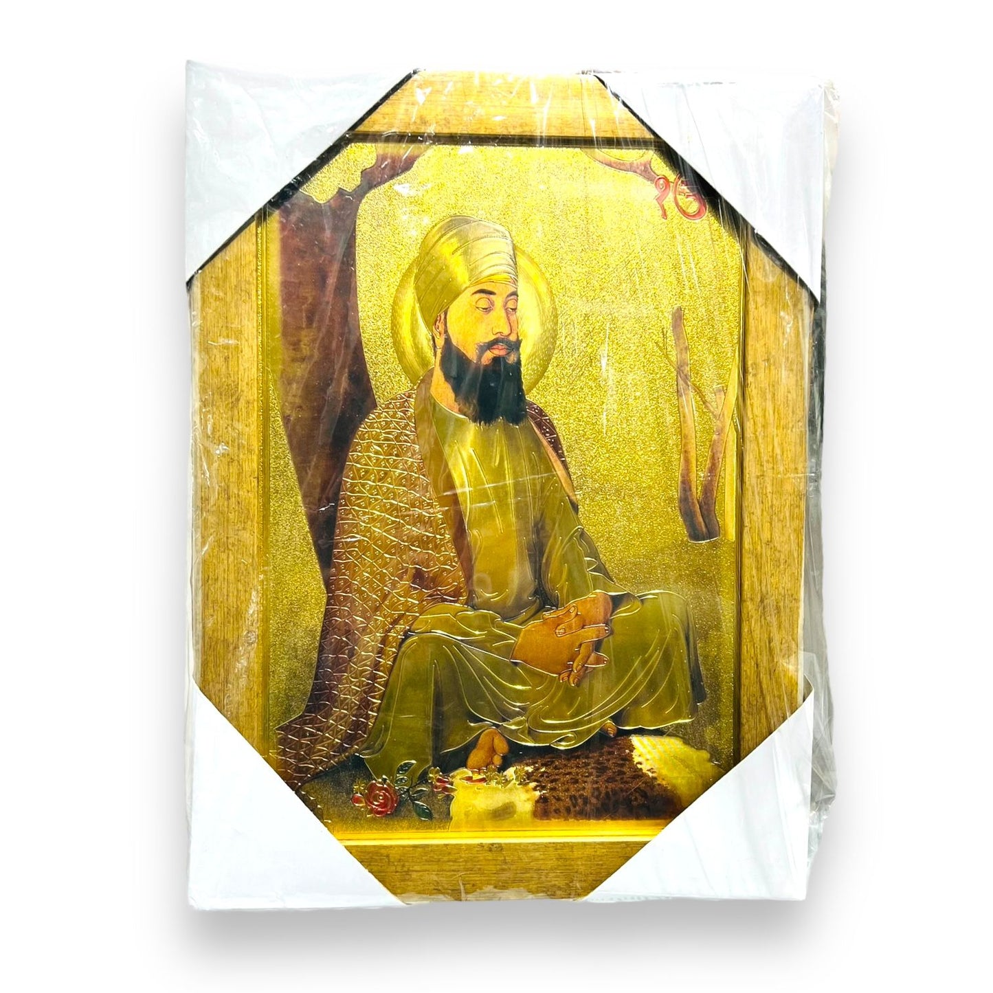 Photo Frame 10" x 13.5" Guru Teg Bahadur ji (Premium)