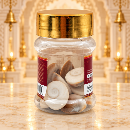 Gomti Chakra (Naag Chakra) – Pack of 11 | Auspicious Hindu Pooja Items for Goddess Lakshmi Worship, Wealth & Prosperity Rituals | 9351235063362