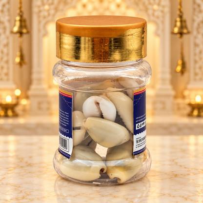Kaudi Shells (Cowrie Shells) – Pack of 21 | Kawdi / Kauri | Auspicious Pooja Items for Goddess Lakshmi Worship, Wealth & Prosperity Rituals | 9351235060255