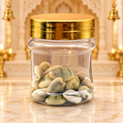 Kaudi Shells (Cowrie Shells) – Pack of 21 | Kawdi / Kauri | Auspicious Pooja Items for Goddess Lakshmi Worship, Wealth & Prosperity Rituals | 9351235060255