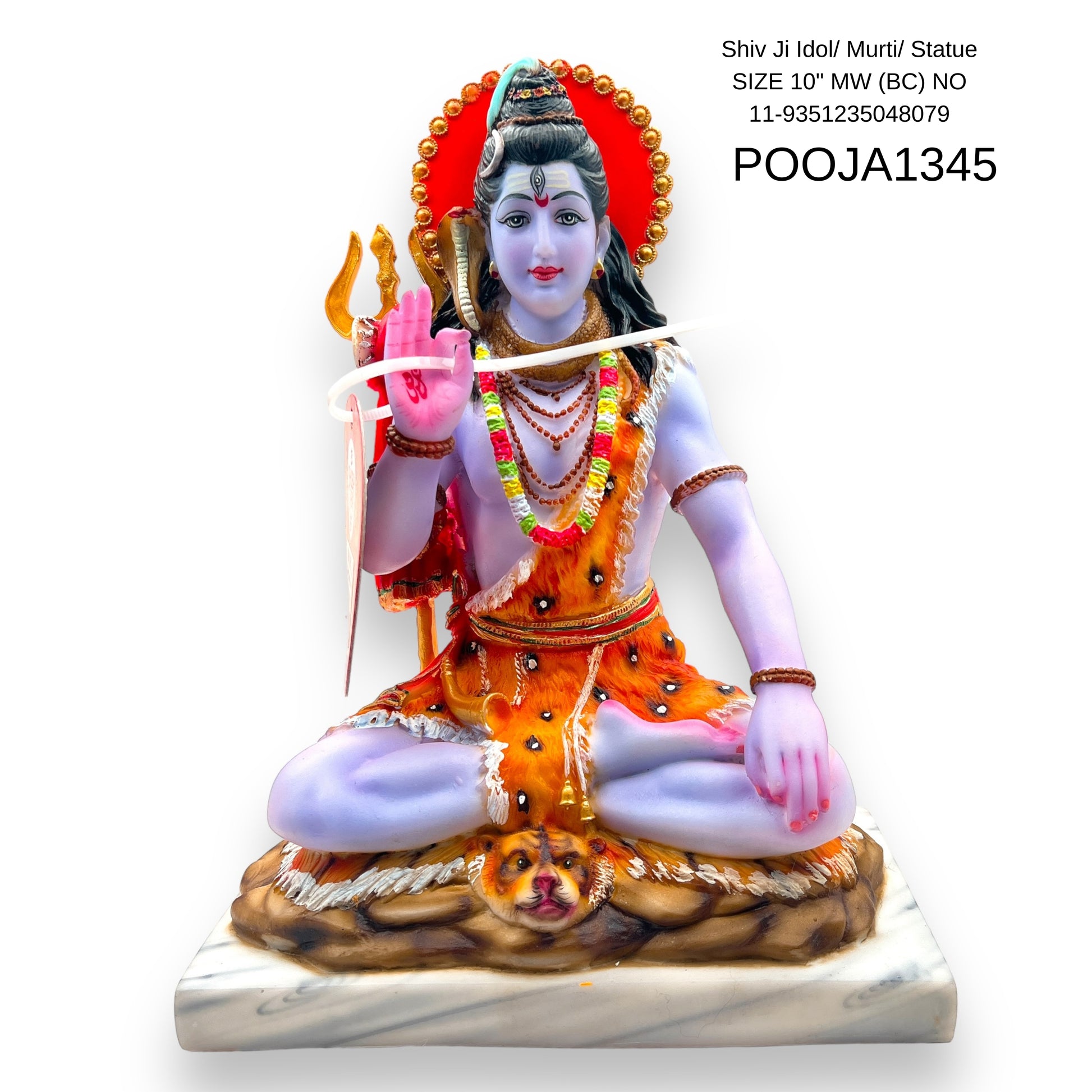 Shiv Ji Idol/ Murti/ Statue SIZE 10" MW (BC) NO 11-9351235048079