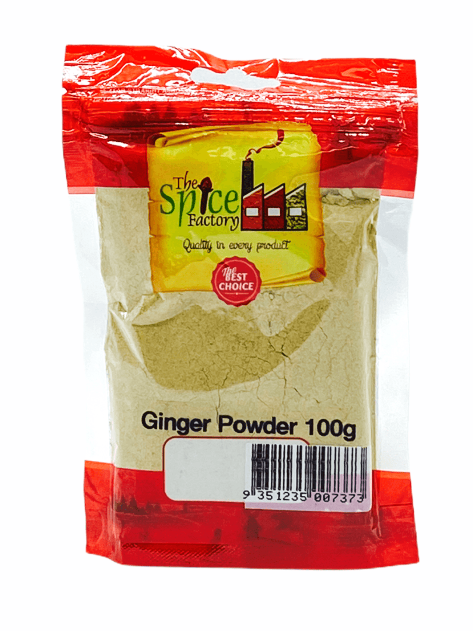 TSF Ginger/ Adrak/ Sonth Powder 100Gm - India At Home